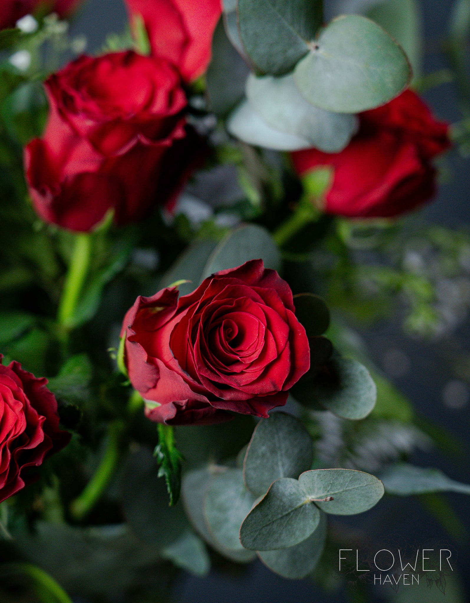 Red Rose Bouquet